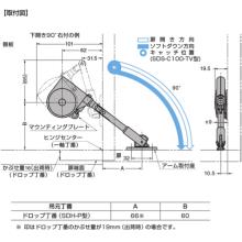 SDS-C100W-TV 